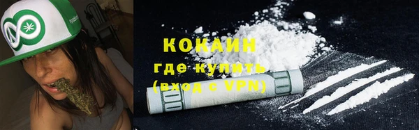 ешки Арсеньев