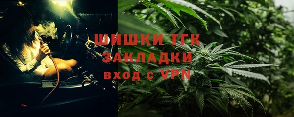 PSILOCYBIN Аркадак