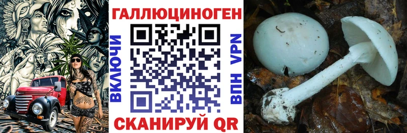 Купить закладки  Спас-Клепики  Галлюциногенные грибы GOLDEN TEACHER 