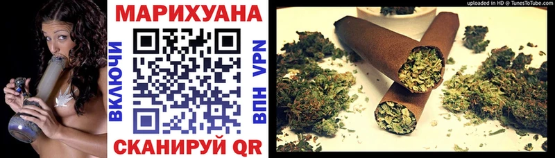 Купить  Спас-Клепики  Бошки Шишки ГИДРОПОН 